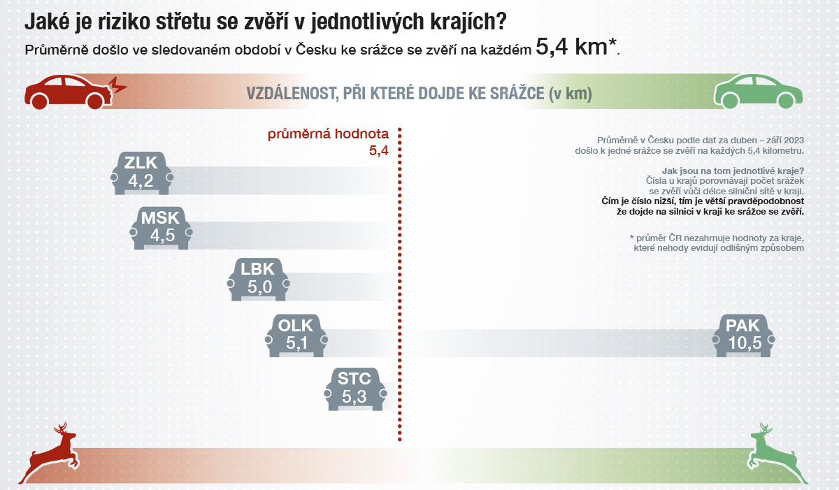 Střet se zvěří