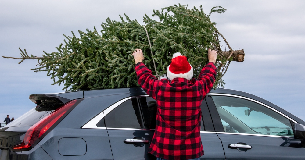 5 rizik, které hrozí řidičům o Vánocích